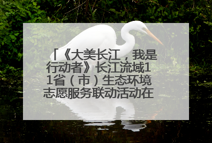 《大美长江，我是行动者》长江流域11省（市）生态环境志愿服务联动活动在江苏南通成功启动