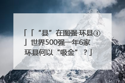 「“县”在图强·环县③」世界500强一年6家 环县何以“吸金”？