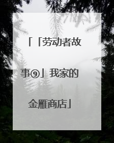 「劳动者故事⑨」我家的金雁商店