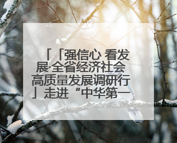 「强信心 看发展·全省经济社会高质量发展调研行」走进“中华第一庙” 寻根伏羲 祭祖龙城