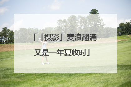 「摄影」麦浪翻涌 又是一年夏收时