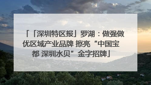 「深圳特区报」罗湖：做强做优区域产业品牌 擦亮“中国宝都 深圳水贝”金字招牌