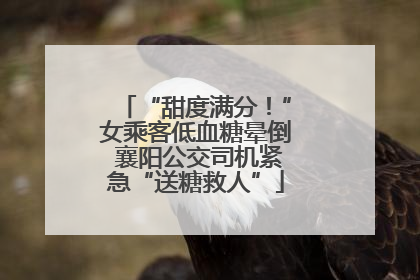 “甜度满分！”女乘客低血糖晕倒 襄阳公交司机紧急“送糖救人”