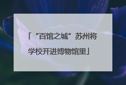 “百馆之城”苏州将学校开进博物馆里