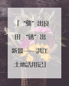 “缝”出良田 “锈”出新景——洪江土地活用记