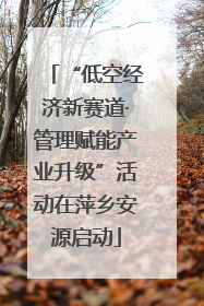 “低空经济新赛道·管理赋能产业升级”活动在萍乡安源启动