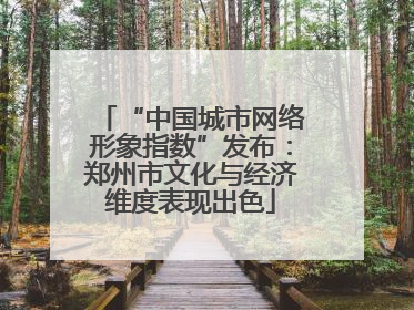 “中国城市网络形象指数”发布：郑州市文化与经济维度表现出色