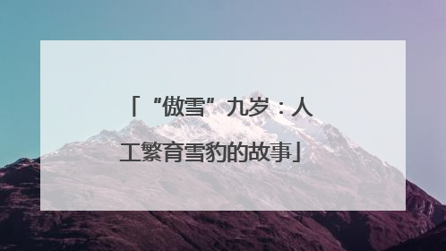 “傲雪”九岁：人工繁育雪豹的故事