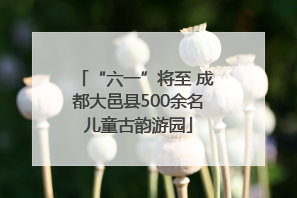 “六一”将至 成都大邑县500余名儿童古韵游园