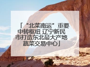 “北菜南运”重要中转枢纽 辽宁新民市打造东北最大产地蔬菜交易中心