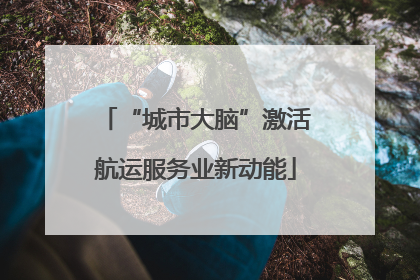 “城市大脑”激活航运服务业新动能