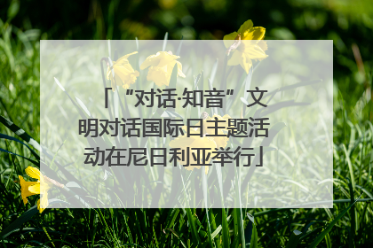 “对话·知音”文明对话国际日主题活动在尼日利亚举行