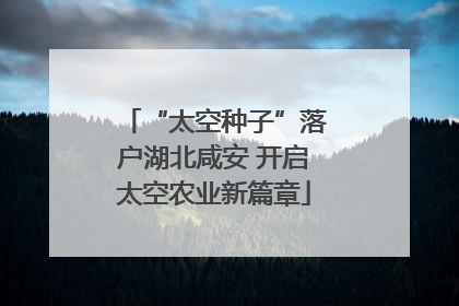 “太空种子”落户湖北咸安 开启太空农业新篇章