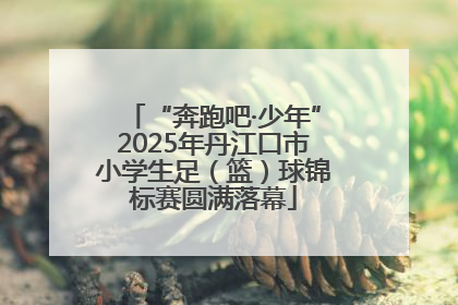“奔跑吧·少年”2025年丹江口市小学生足（篮）球锦标赛圆满落幕