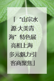 “山宗水源·大美青海”特色展亮相上海 多元魅力引客商聚焦