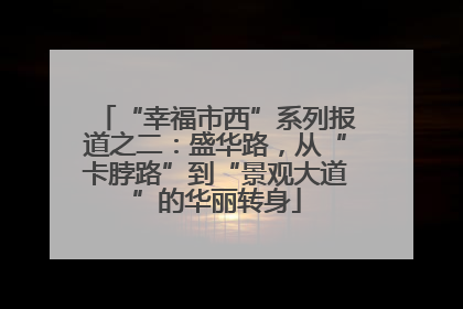“幸福市西”系列报道之二：盛华路，从“卡脖路”到“景观大道”的华丽转身