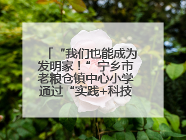 “我们也能成为发明家！”宁乡市老粮仓镇中心小学通过“实践+科技”模式，为乡村娃探索教育新路径
