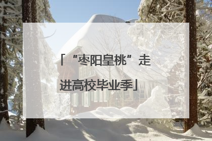 “枣阳皇桃”走进高校毕业季