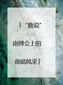 “数说”南博会上的曲靖风采