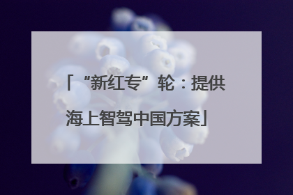 “新红专”轮：提供海上智驾中国方案