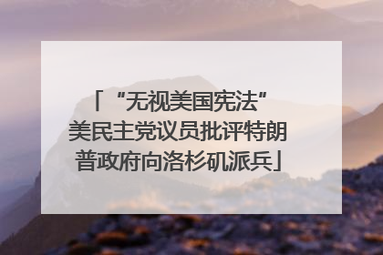 “无视美国宪法” 美民主党议员批评特朗普政府向洛杉矶派兵