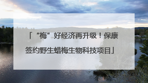 “梅”好经济再升级！保康签约野生蜡梅生物科技项目