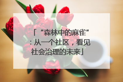 “森林中的麻雀”：从一个社区，看见社会治理的未来