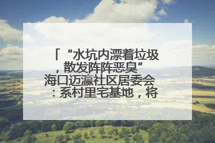 “水坑内漂着垃圾，散发阵阵恶臭” 海口迈瀛社区居委会：系村里宅基地，将派人打捞垃圾