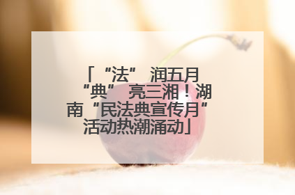 “法” 润五月 “典” 亮三湘！湖南“民法典宣传月”活动热潮涌动