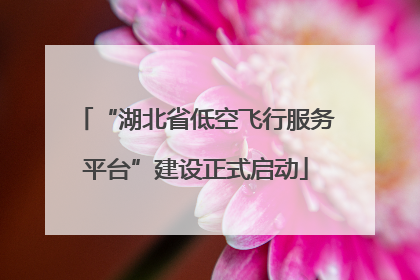 “湖北省低空飞行服务平台”建设正式启动