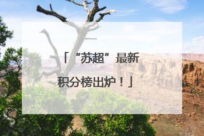 “苏超”最新积分榜出炉！