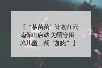 “茶苗苗”计划在云南保山启动 为留守困境儿童三餐“加肉”