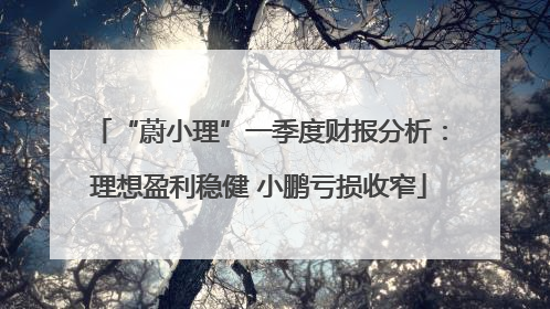 “蔚小理”一季度财报分析：理想盈利稳健 小鹏亏损收窄