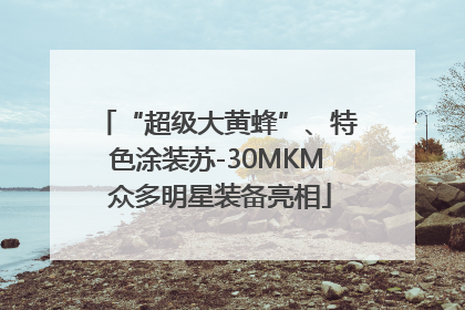 “超级大黄蜂”、特色涂装苏-30MKM 众多明星装备亮相