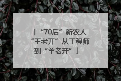 “70后”新农人“王老开”从工程师到“羊老开”