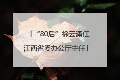 “80后”徐云涌任江西省委办公厅主任
