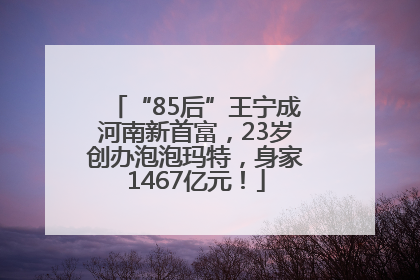 “85后”王宁成河南新首富，23岁创办泡泡玛特，身家1467亿元！