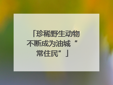 珍稀野生动物不断成为油城“常住民”