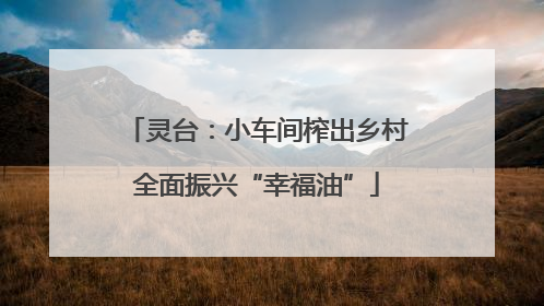 灵台：小车间榨出乡村全面振兴“幸福油”