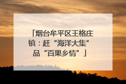 烟台牟平区王格庄镇：赶“海洋大集” 品“百果乡情”