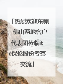 热烈欢迎东莞、佛山两地客户代表团莅临itc保伦股份考察交流
