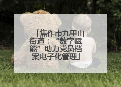 焦作市九里山街道：“数字赋能”助力党员档案电子化管理