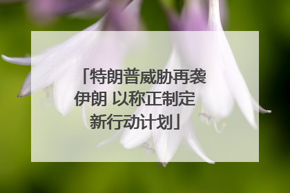 特朗普威胁再袭伊朗 以称正制定新行动计划