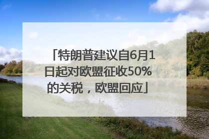 特朗普建议自6月1日起对欧盟征收50%的关税，欧盟回应