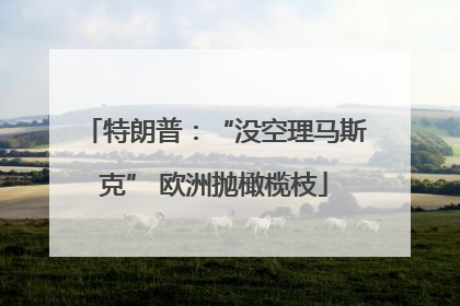 特朗普：“没空理马斯克” 欧洲抛橄榄枝