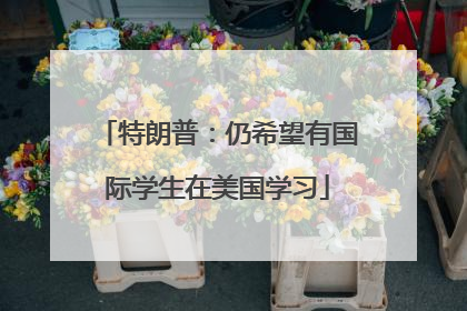 特朗普：仍希望有国际学生在美国学习