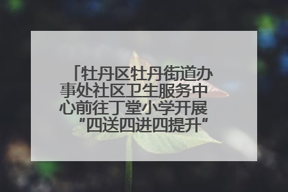 牡丹区牡丹街道办事处社区卫生服务中心前往丁堂小学开展“四送四进四提升”及无烟日宣传活动