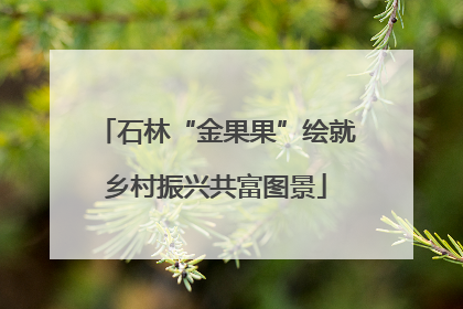 石林“金果果”绘就乡村振兴共富图景
