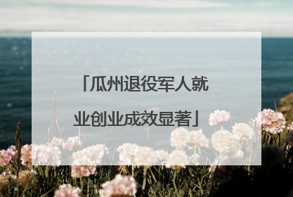 瓜州退役军人就业创业成效显著