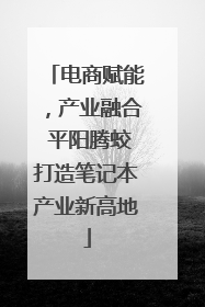 电商赋能，产业融合 平阳腾蛟打造笔记本产业新高地